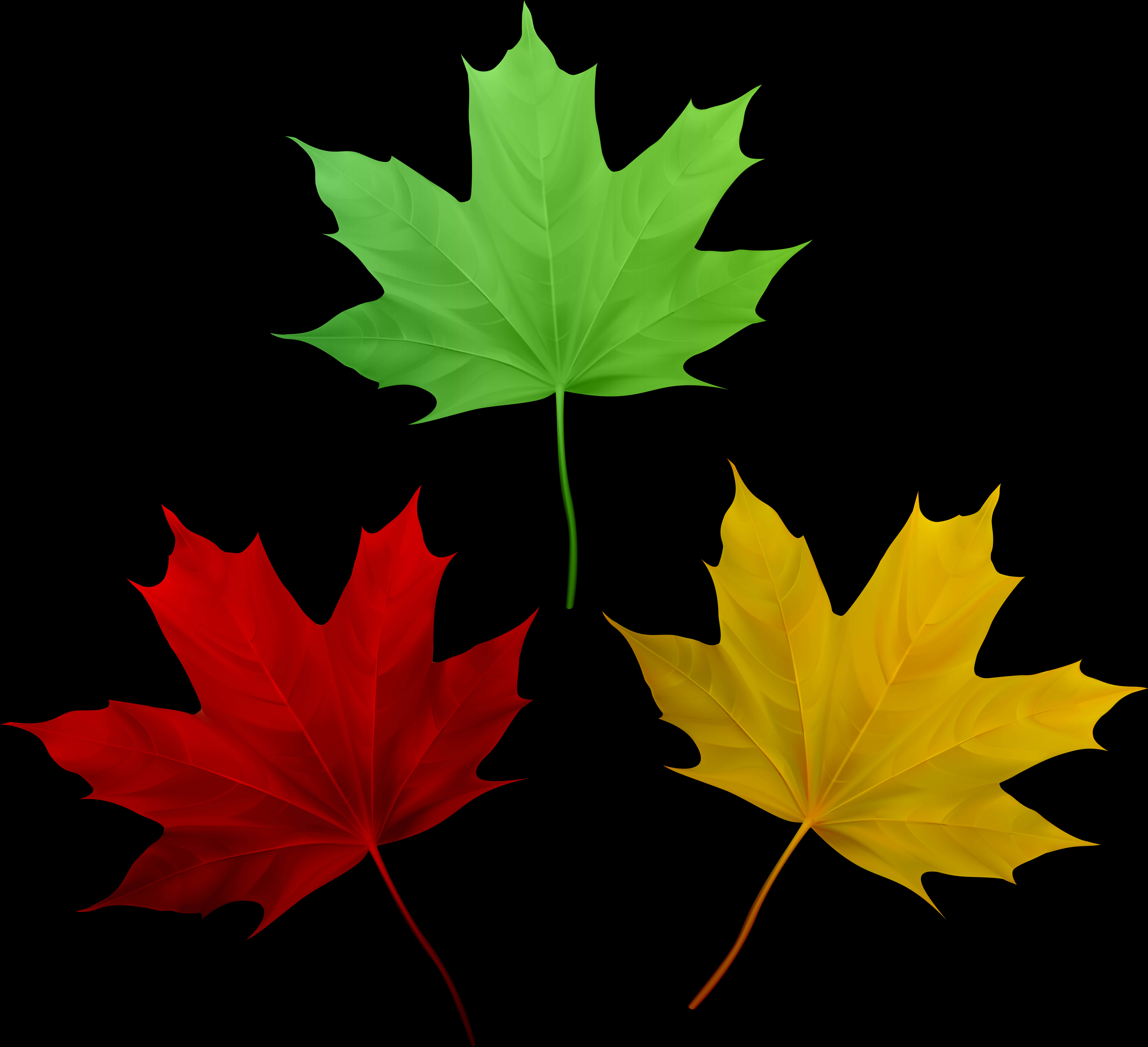 Autumn_ Leaves_ Triptych PNG with transparent background