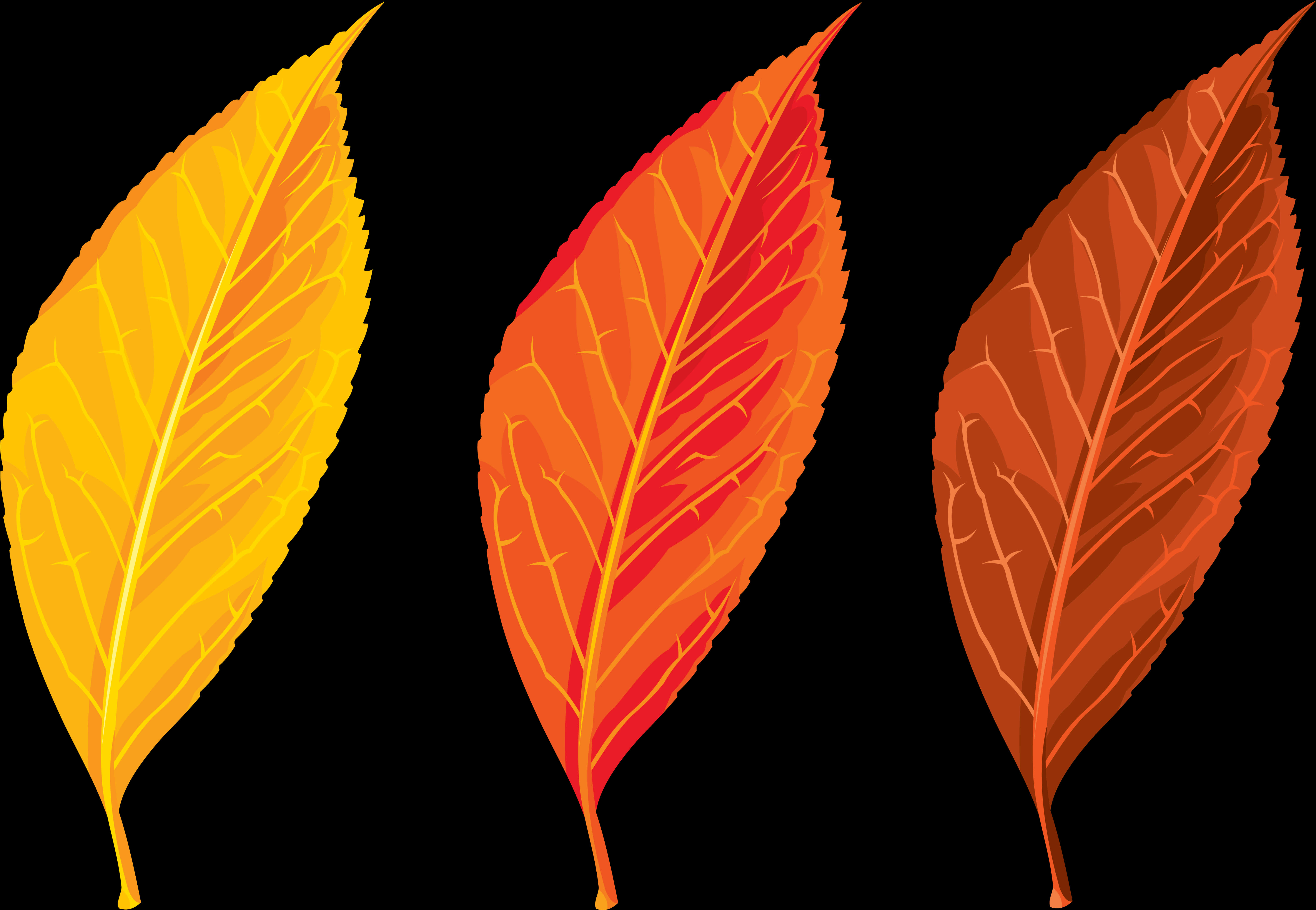 Autumn Leaves Vector Clipart