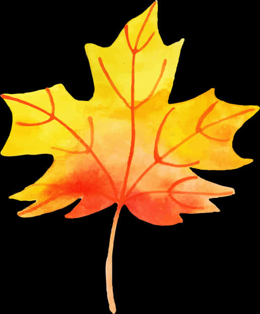 Maple Leaf, HD Png Download PNG with transparent background
