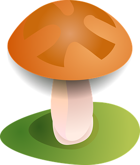 Autumn Mushroom Vector Illustration PNG with transparent background