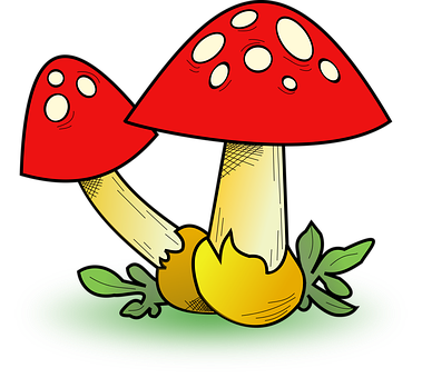 Autumn Mushroomsand Fallen Leaves PNG with transparent background