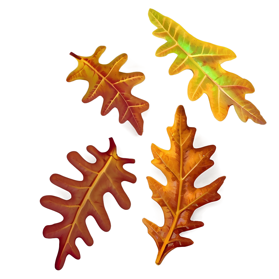 Autumn Oak Leaves PNG 06262024 PNG with transparent background
