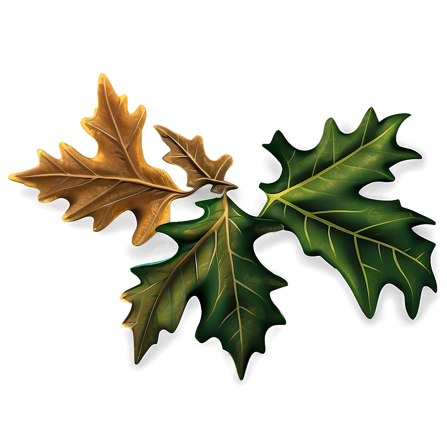 Autumn Oak Leaves Png 36