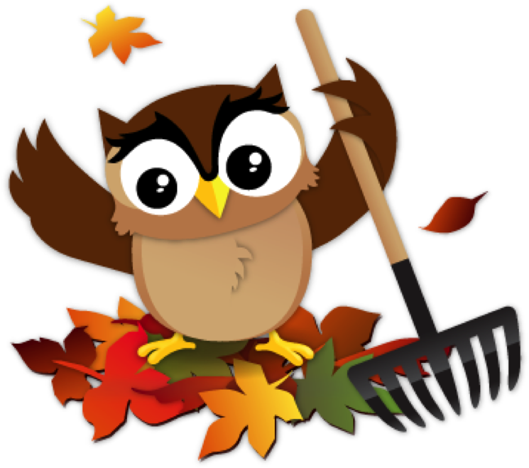 Autumn Owl Raking Leaves