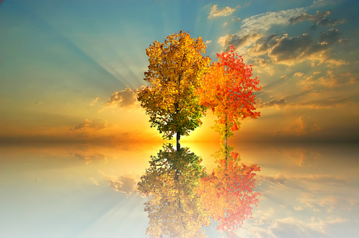 Autumn Reflection Sunset PNG with transparent background