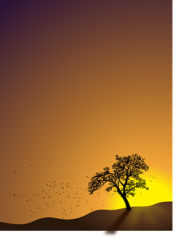 Autumn Sunset Silhouette PNG with transparent background