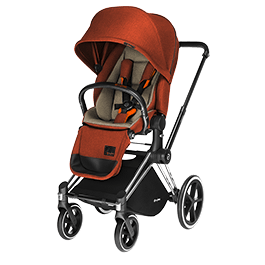 Autumn Themed Baby Stroller