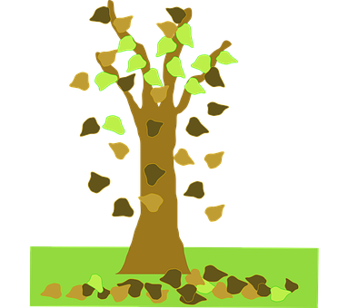 Autumn_ Tree_ Illustration