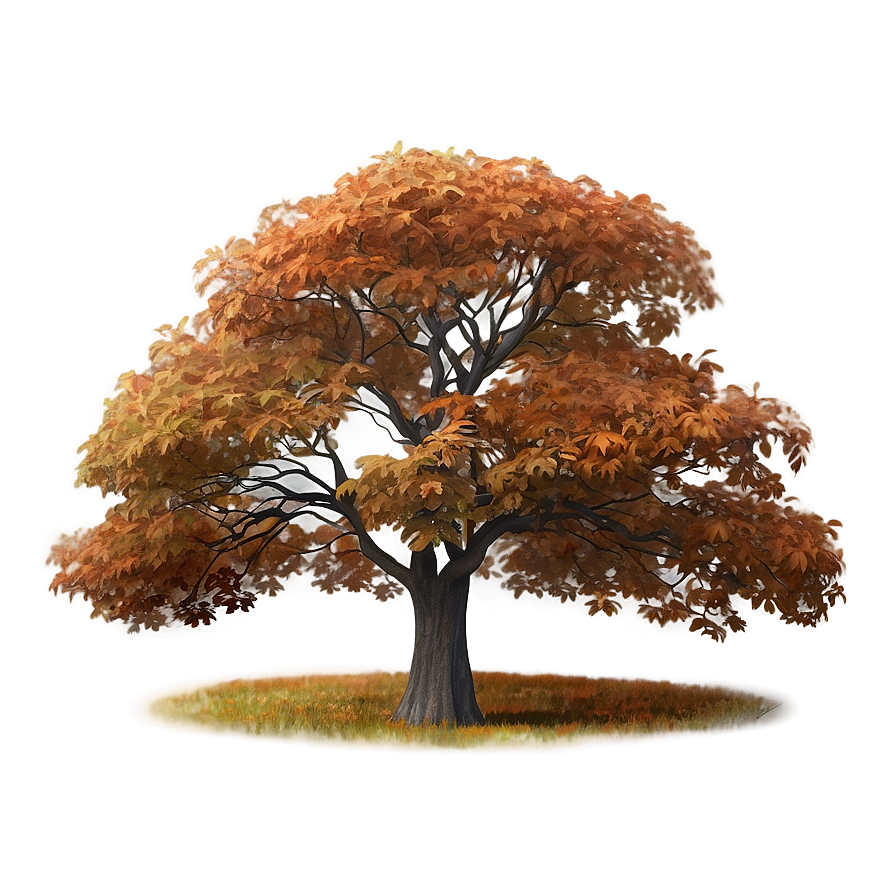 Autumn Tree In Mist Png Hun36