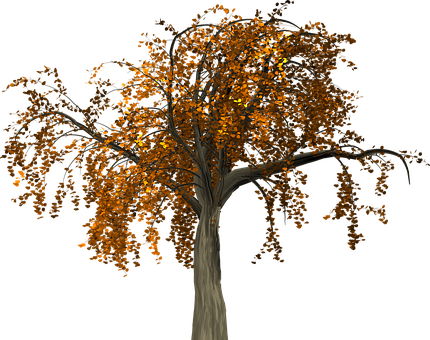 Autumn Tree Nighttime Illustration