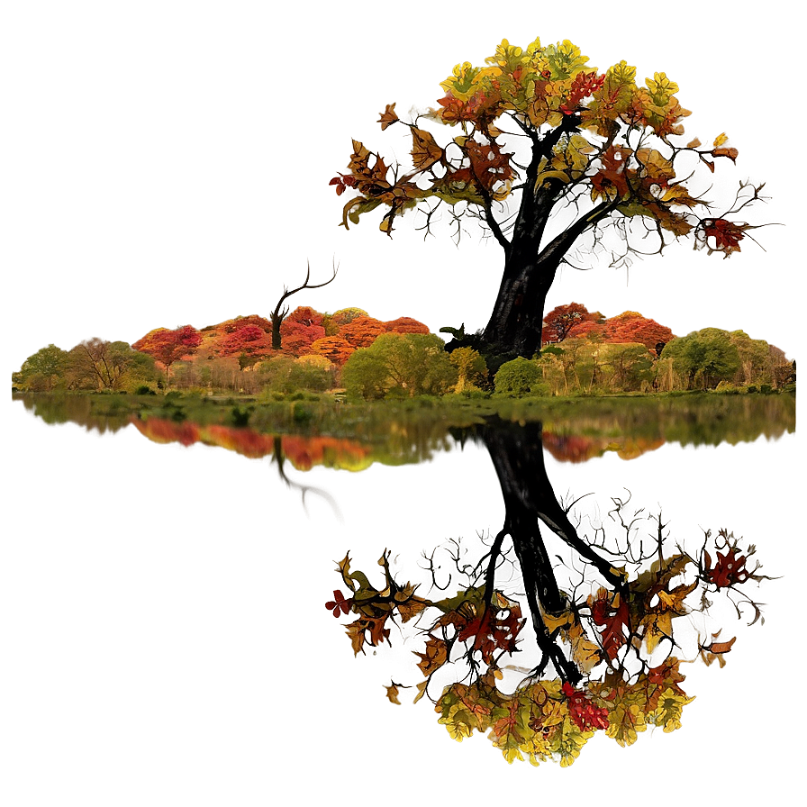 Autumn Tree Reflection Png Ack