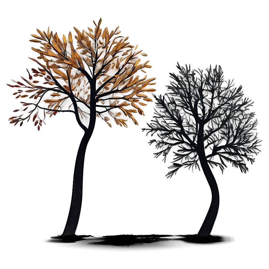 Autumn Tree Shadow Png 65