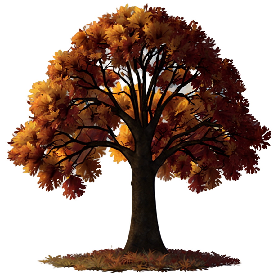 Autumn Tree Sunset Png 85