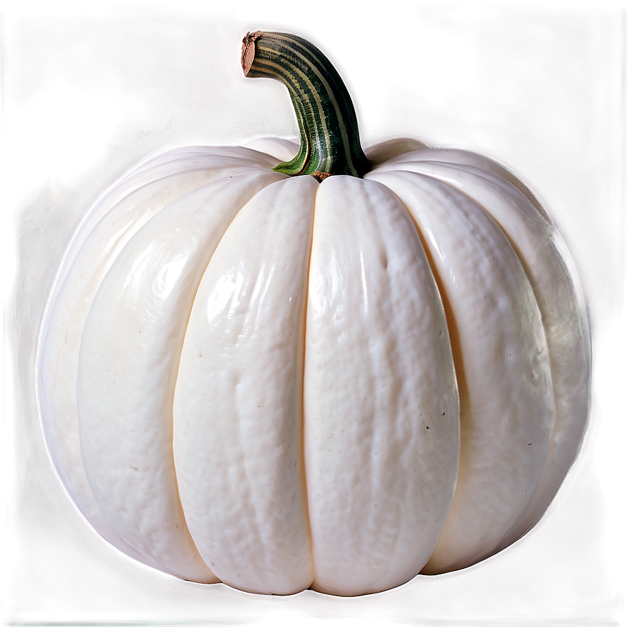 Autumn White Pumpkin Png 67