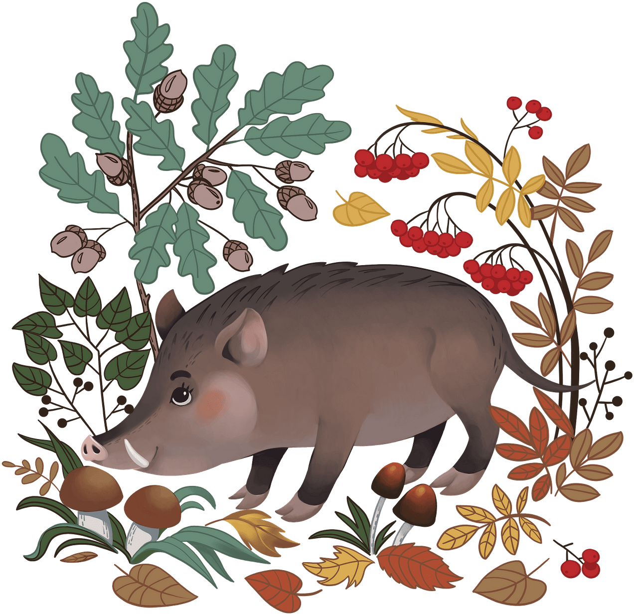 Autumnal Boar Illustration