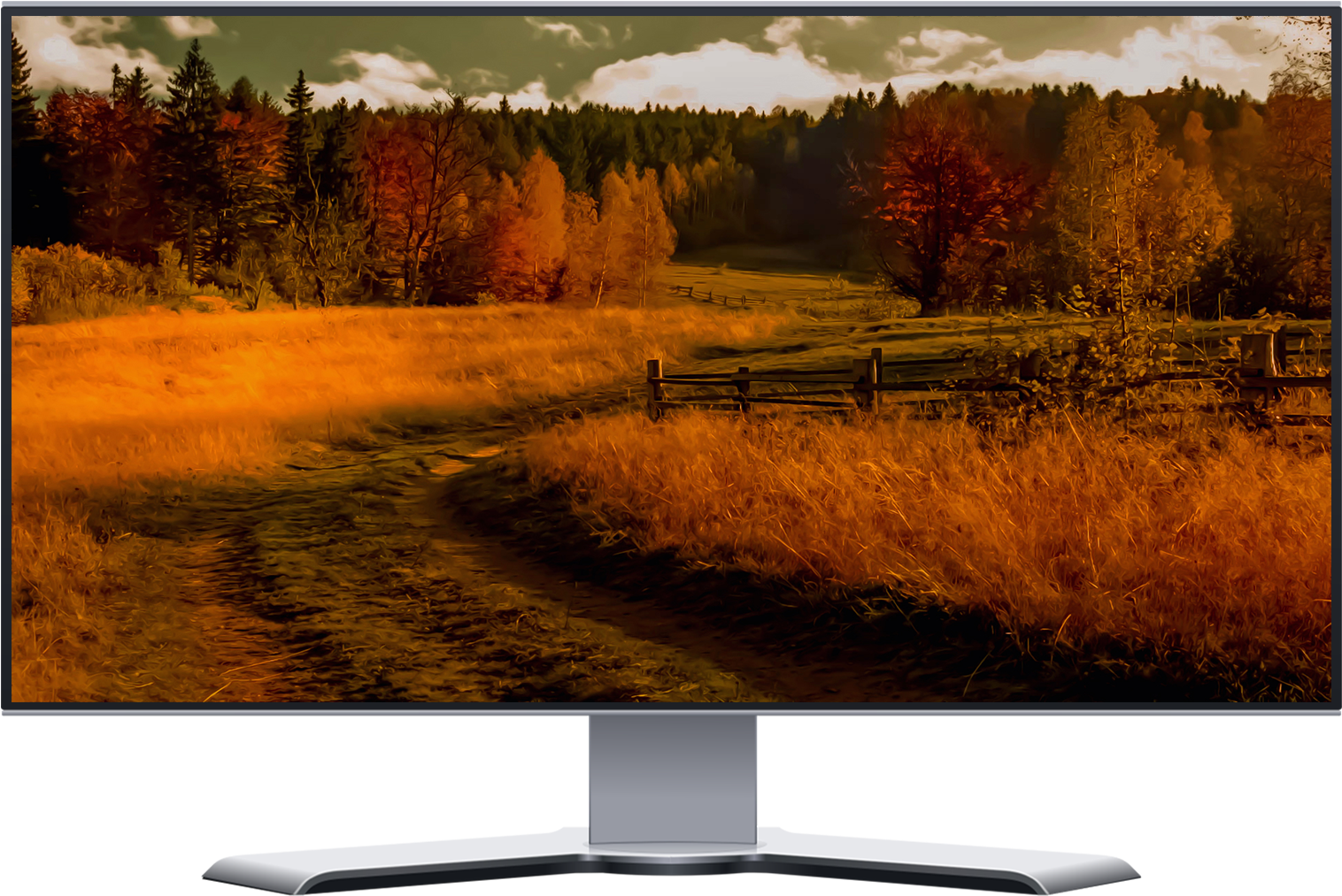 Autumnal Forest Path.jpg PNG with transparent background