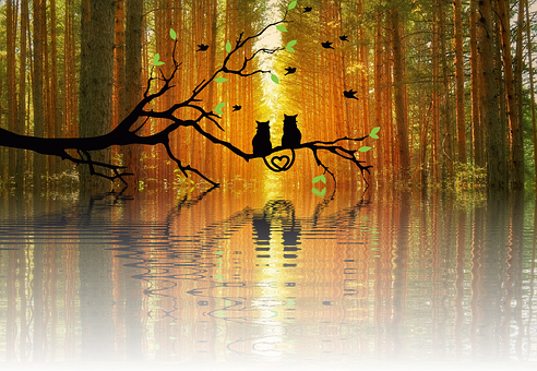 Autumnal Love Reflection PNG with transparent background