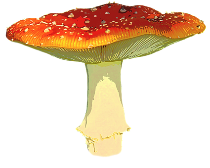 Autumnal Red Mushroom PNG with transparent background