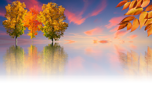 Autumnal Reflections Sunset PNG with transparent background