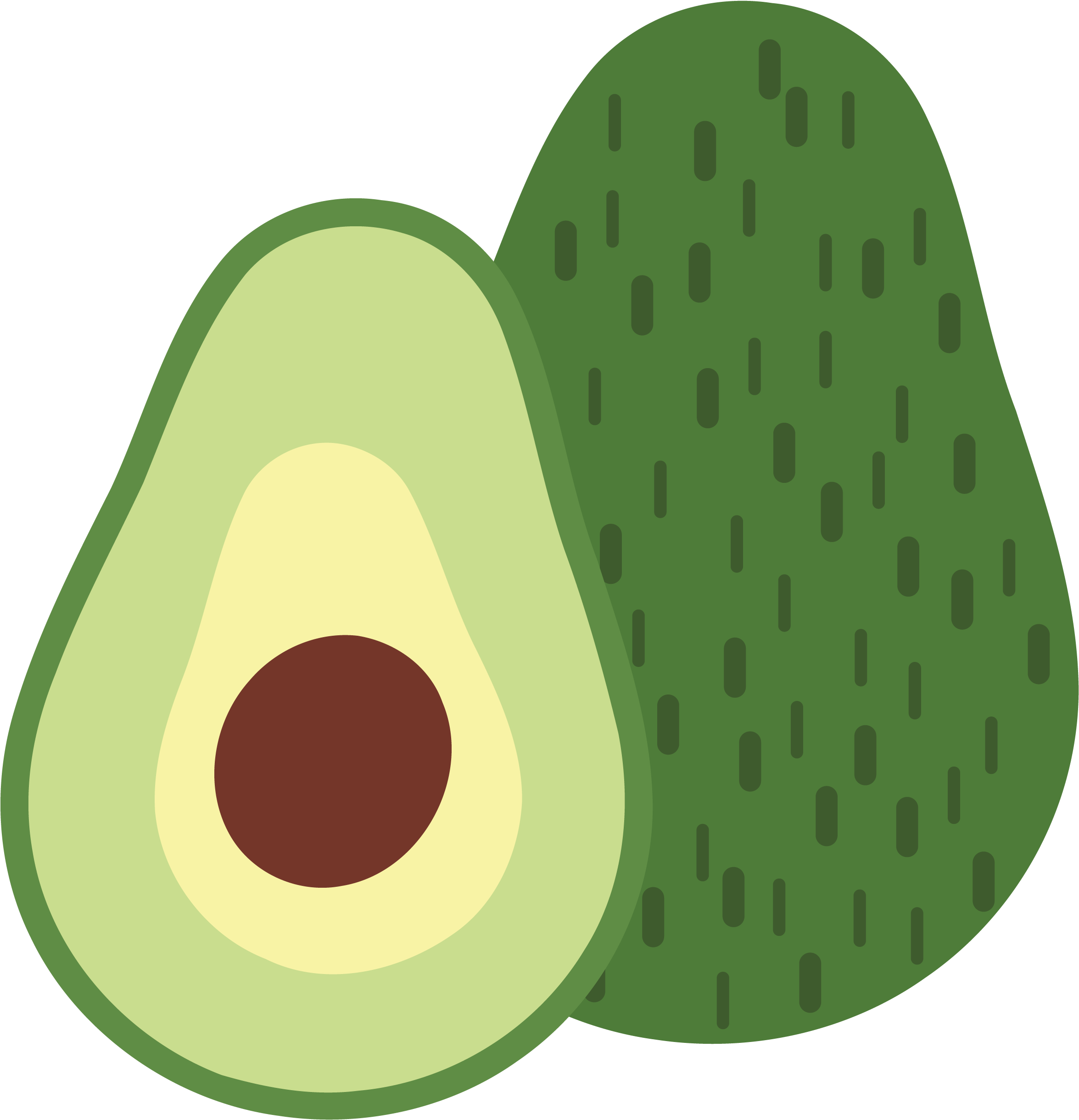 Avocado Halfand Whole Vector Illustration