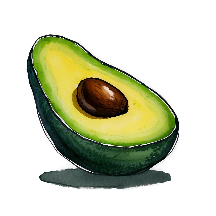 Avocado Watercolor Png 05242024