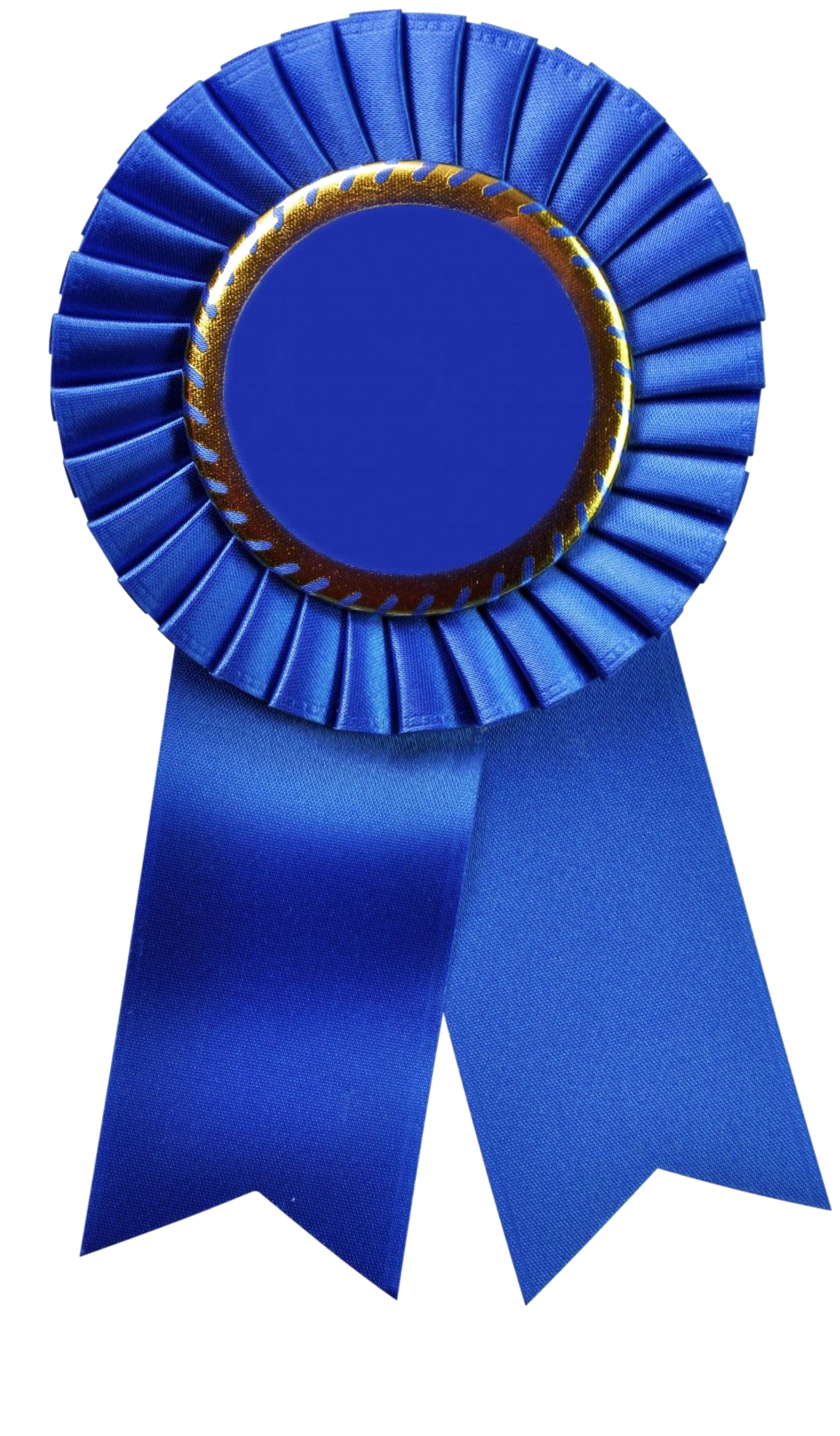 Award Winning Blue Ribbon.png