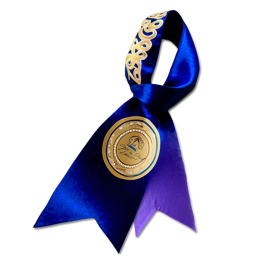 Award Winning Cheer Bow Png 7