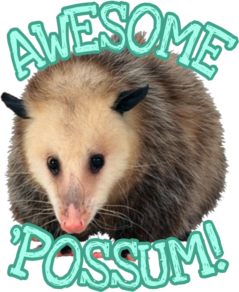 Awesome Possum Graphic