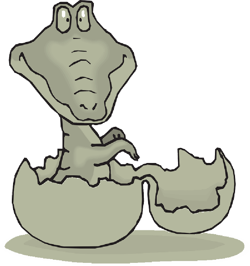 Baby, Cartoon, Egg, Shell, Hatching, Alligator, Hatch - Alligator In Egg Cartoon, HD Png Download PNG with transparent background