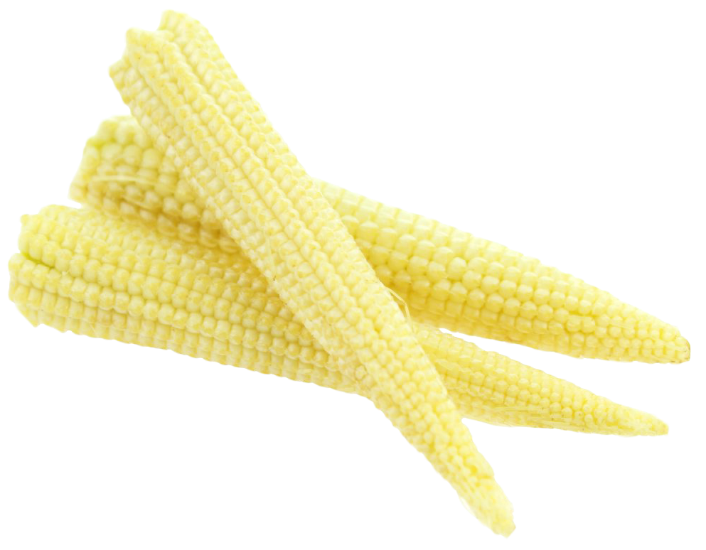 Baby Corn Cluster Fresh Produce