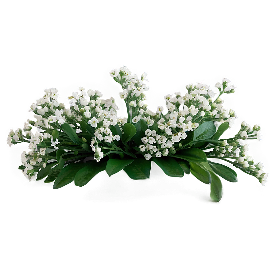 Baby's Breath Border Design Png 33