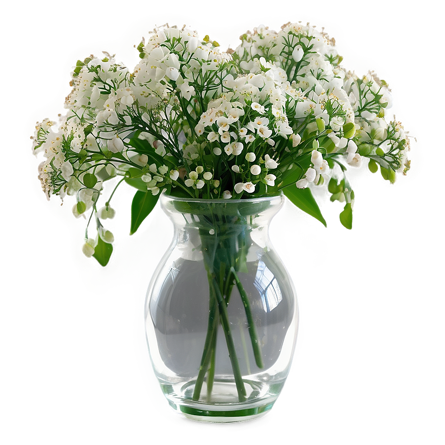 Baby's Breath In Vase Png 21