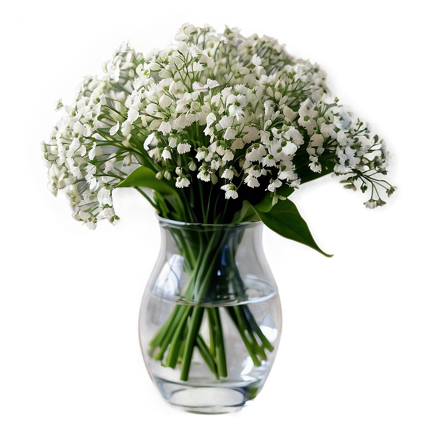 Baby's Breath In Vase Png Ndc