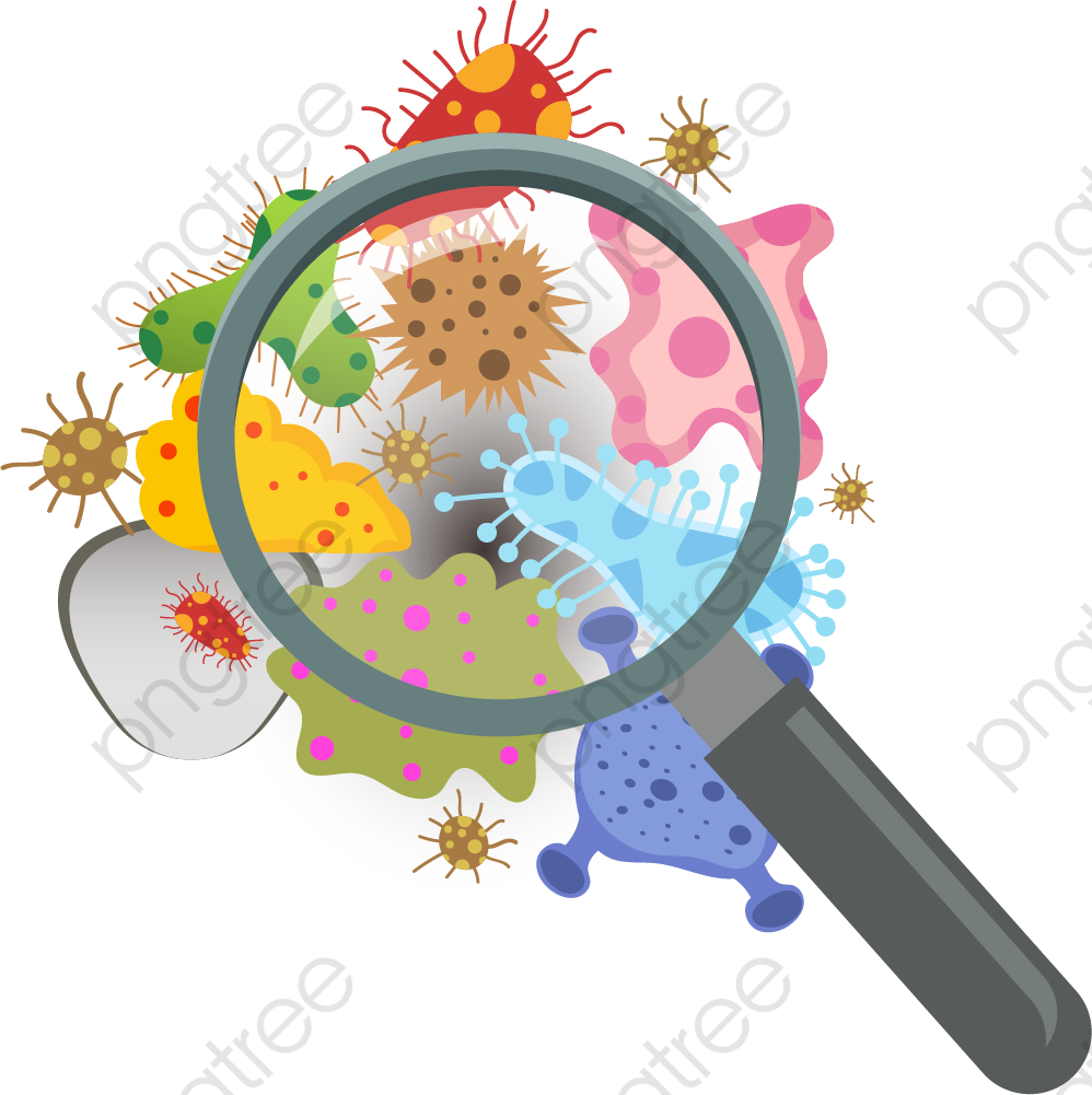 Aggregation Of Fungus Flora - Imagenes De Bacterias Png, Transparent Png PNG with transparent background