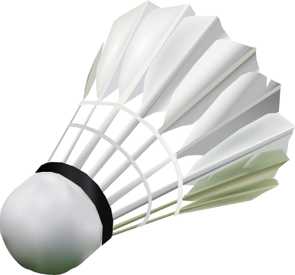 Badminton Shuttlecock3 D Render