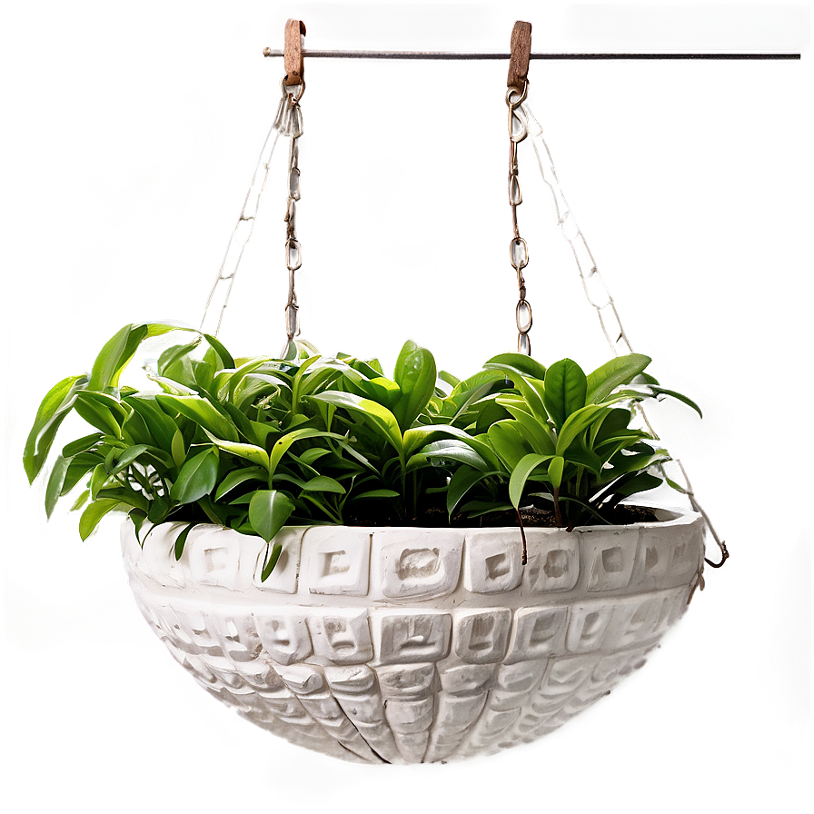 Balcony Hanging Plant Png 32