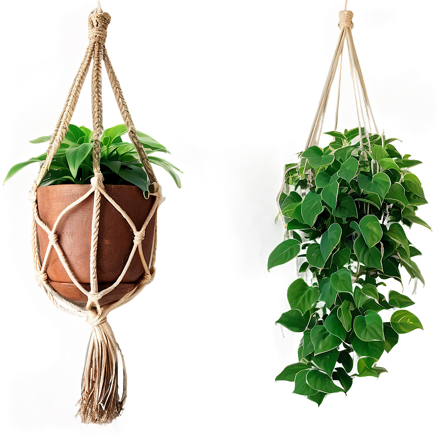 Balcony Hanging Plant Png Fqm