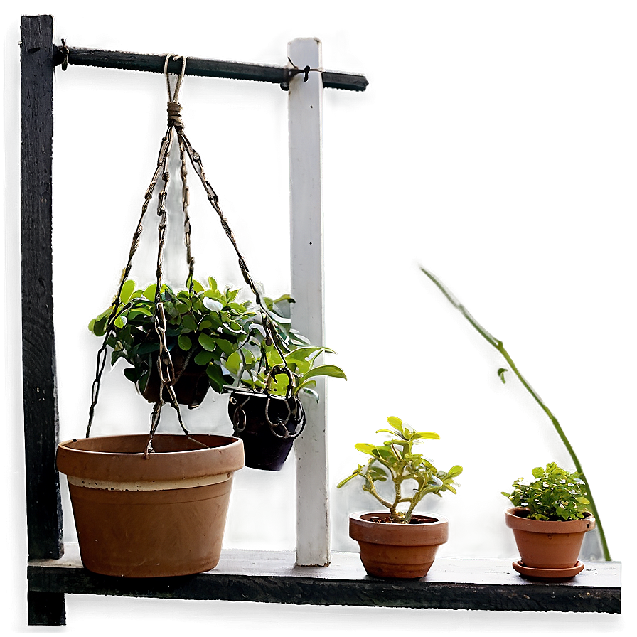 Balcony Hanging Plant Png Ybt