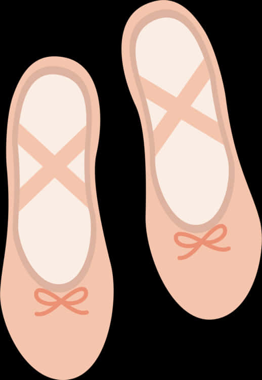 Ballet Flats Illustration