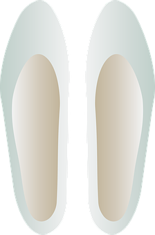 Ballet Pointe Shoes Vector