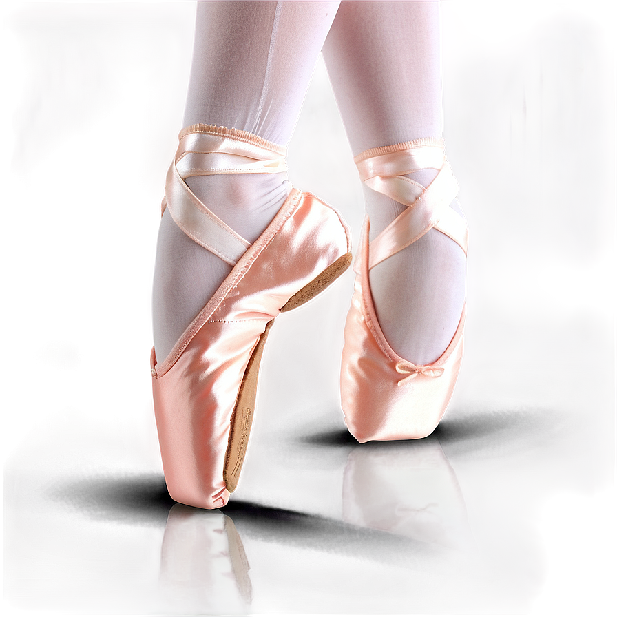 Ballet Shoes Side View Png 60