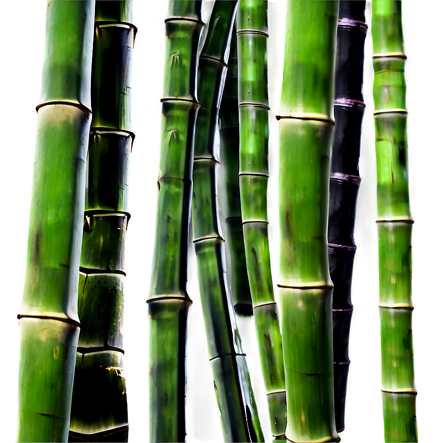 Bamboo Forest Background Png 05232024