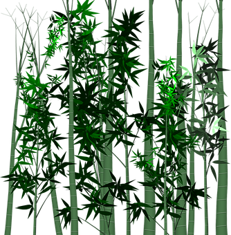 Bamboo Forest Night Scene PNG with transparent background