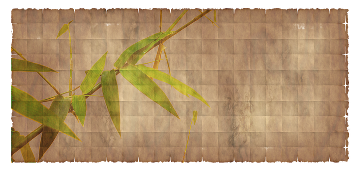Bamboo Leaves Aged Paper Texture PNG image with a transparent background, free high-resolution download