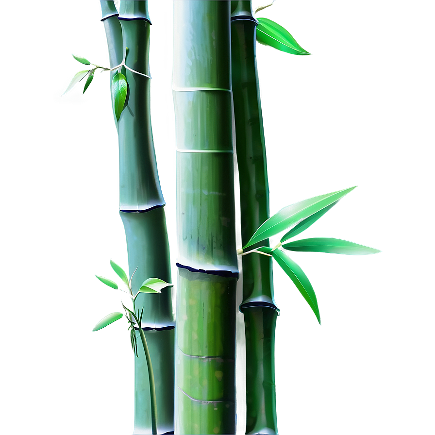 Bamboo Plant Png Xsk35