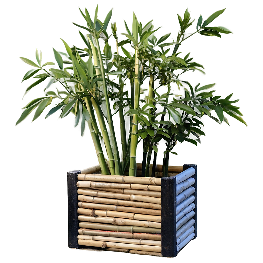 Bamboo Planter Box Png 06282024