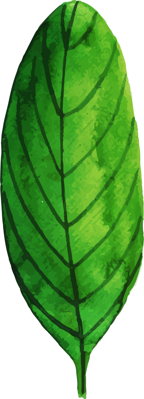 Banana, HD Png Download PNG with transparent background