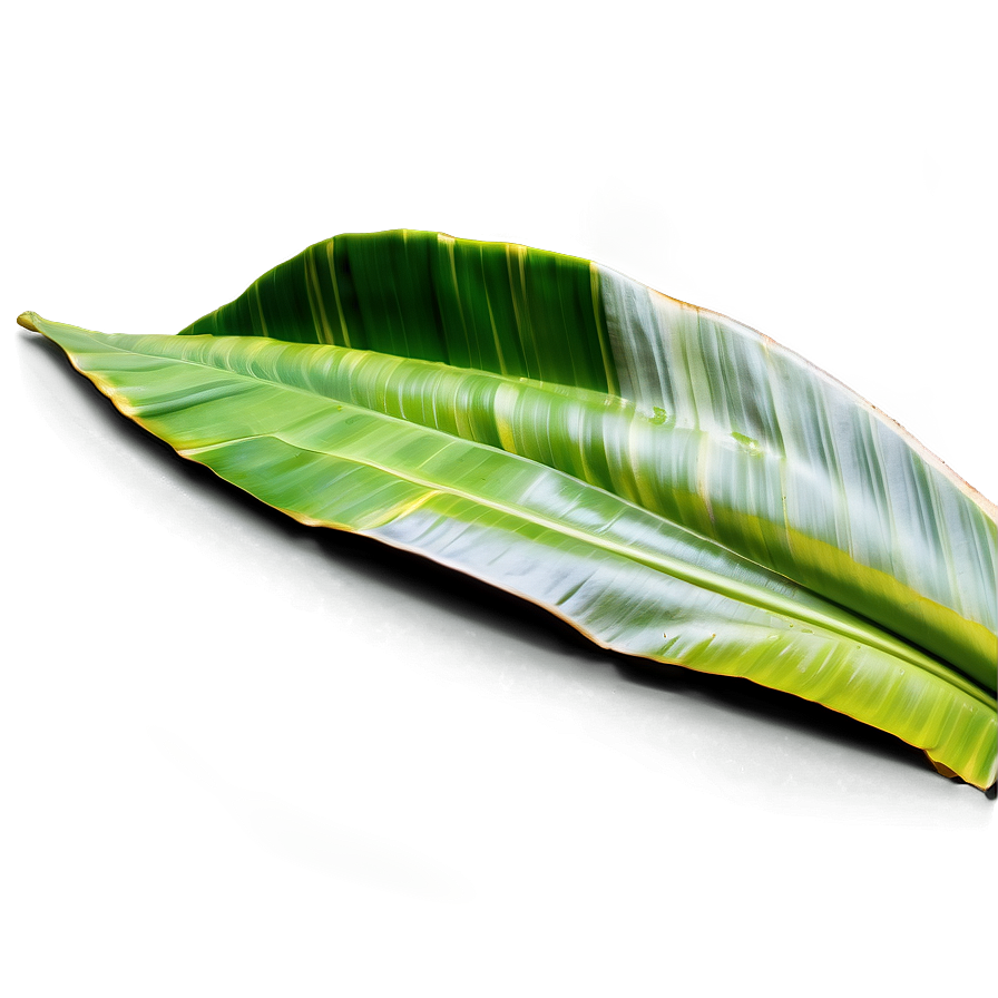 Banana Leaf Background Png 15