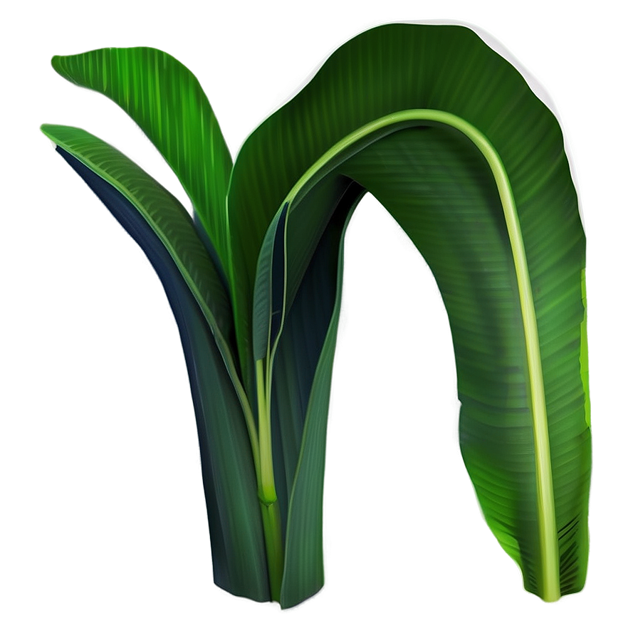 Banana Leaf Botanical Png Log