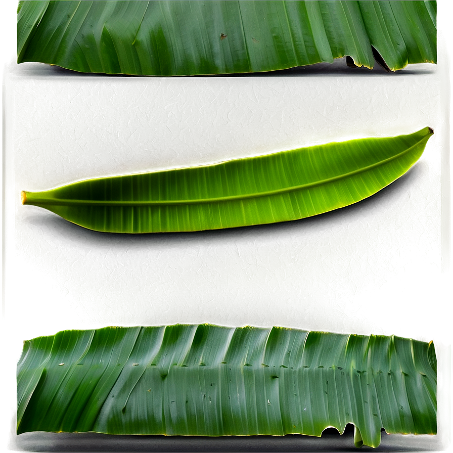 Banana Leaf Element Png Hqw39